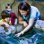 Toddler Time on International Drive